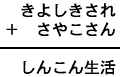 きよしきされ+さやこさん=しんこん生活
