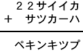 ２２サイイカ＋サツカーハ＝ペキンキツプ