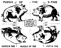 五匹目のブタを探せ